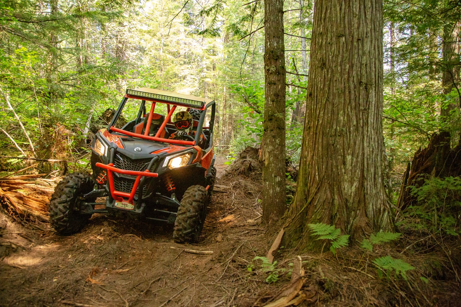 2019 Can-Am Maverick Sport