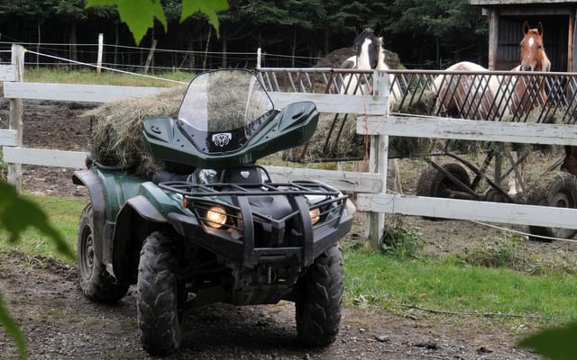 2010 Yamaha Kodiak 450 EPS