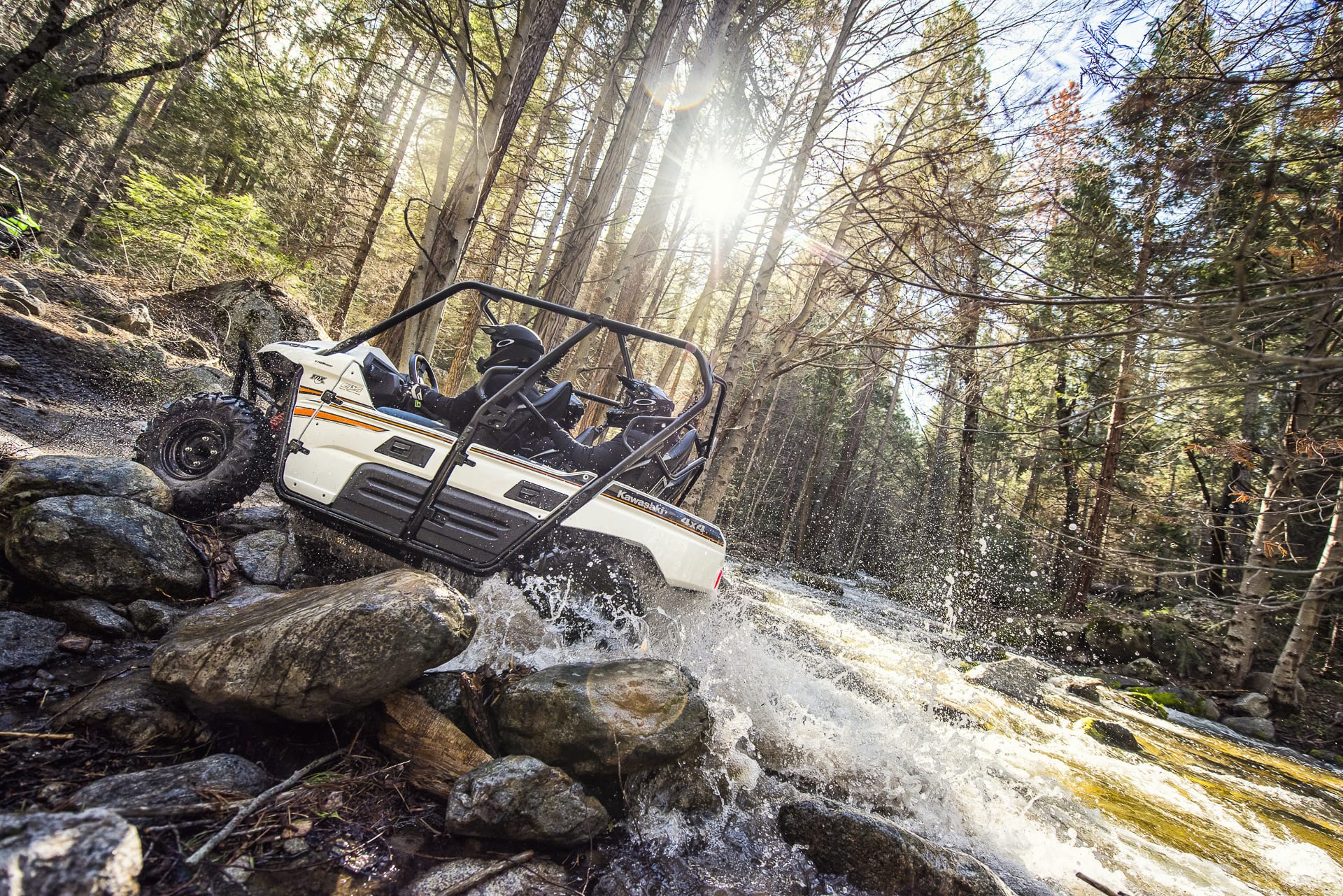 2018 KAWASAKI TERYX4