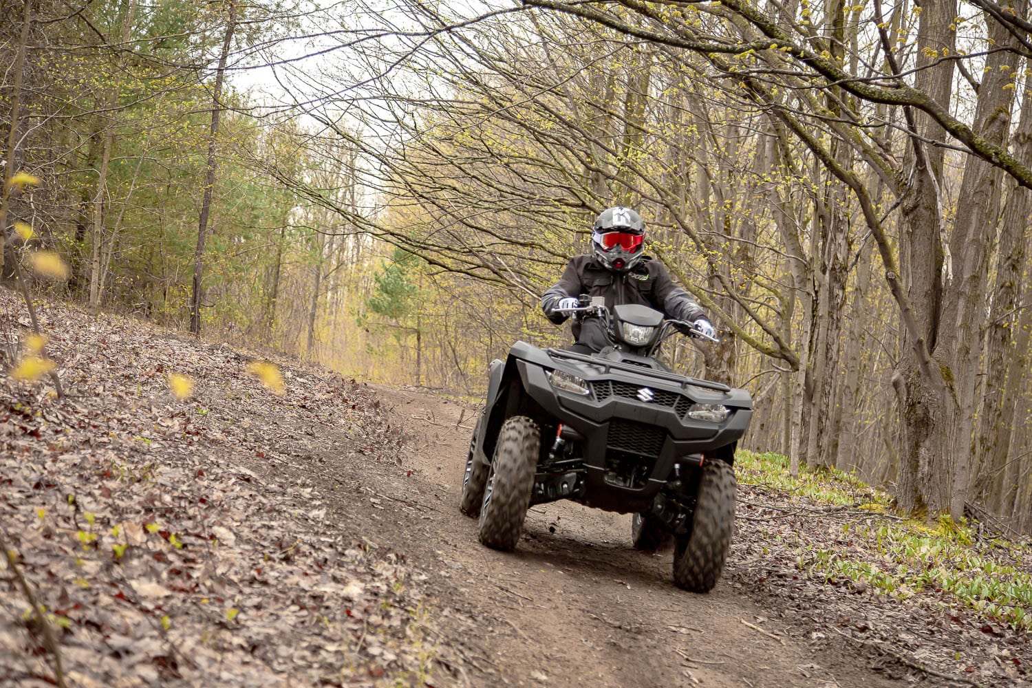 2019 Suzuki KingQuad Review