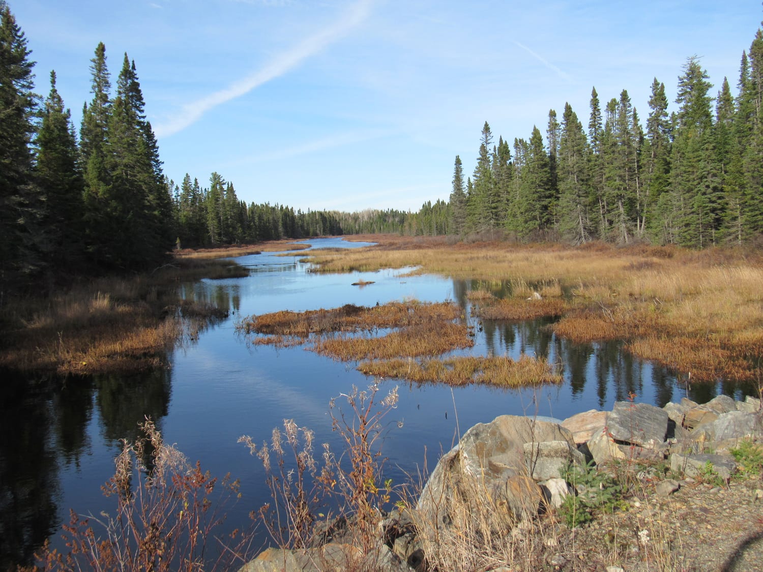 Wetlands: Jewels or Nightmare