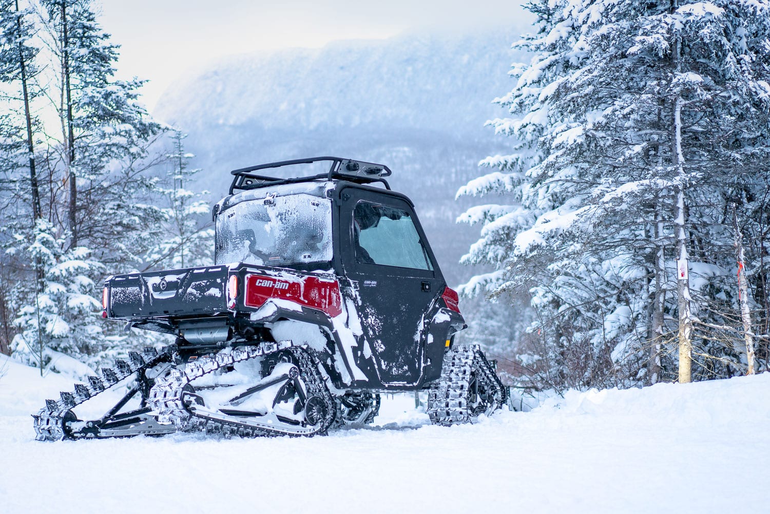 Apache Backcountry Tracks