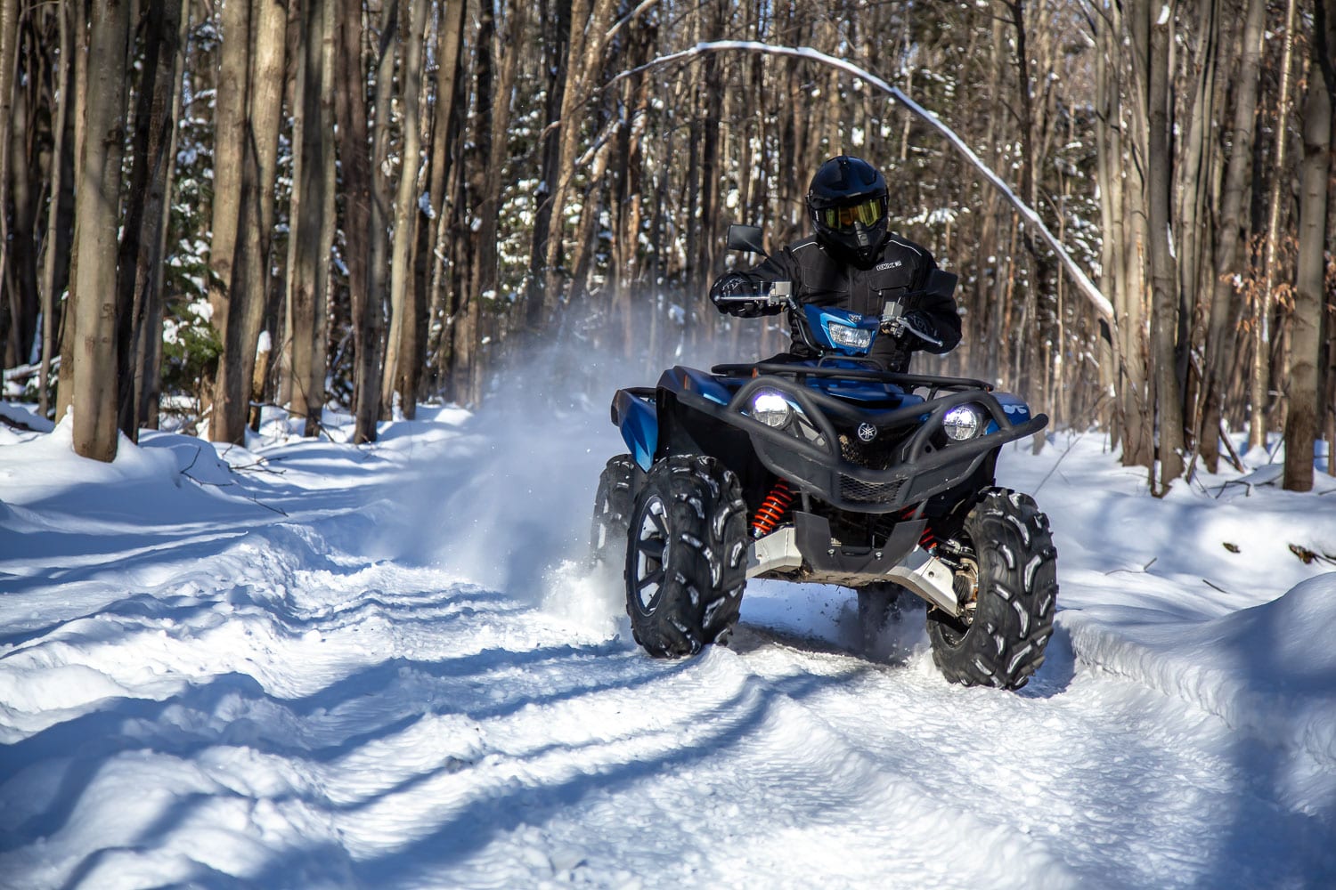 2019 Yamaha Grizzly SE Review