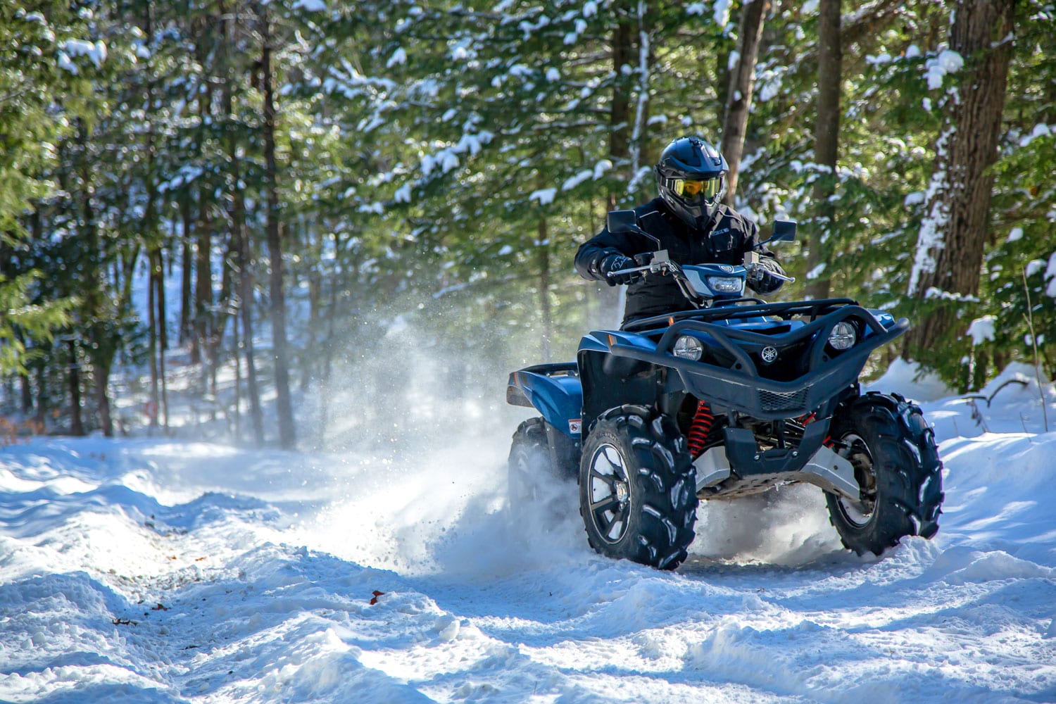 2019 Yamaha Grizzly SE Review