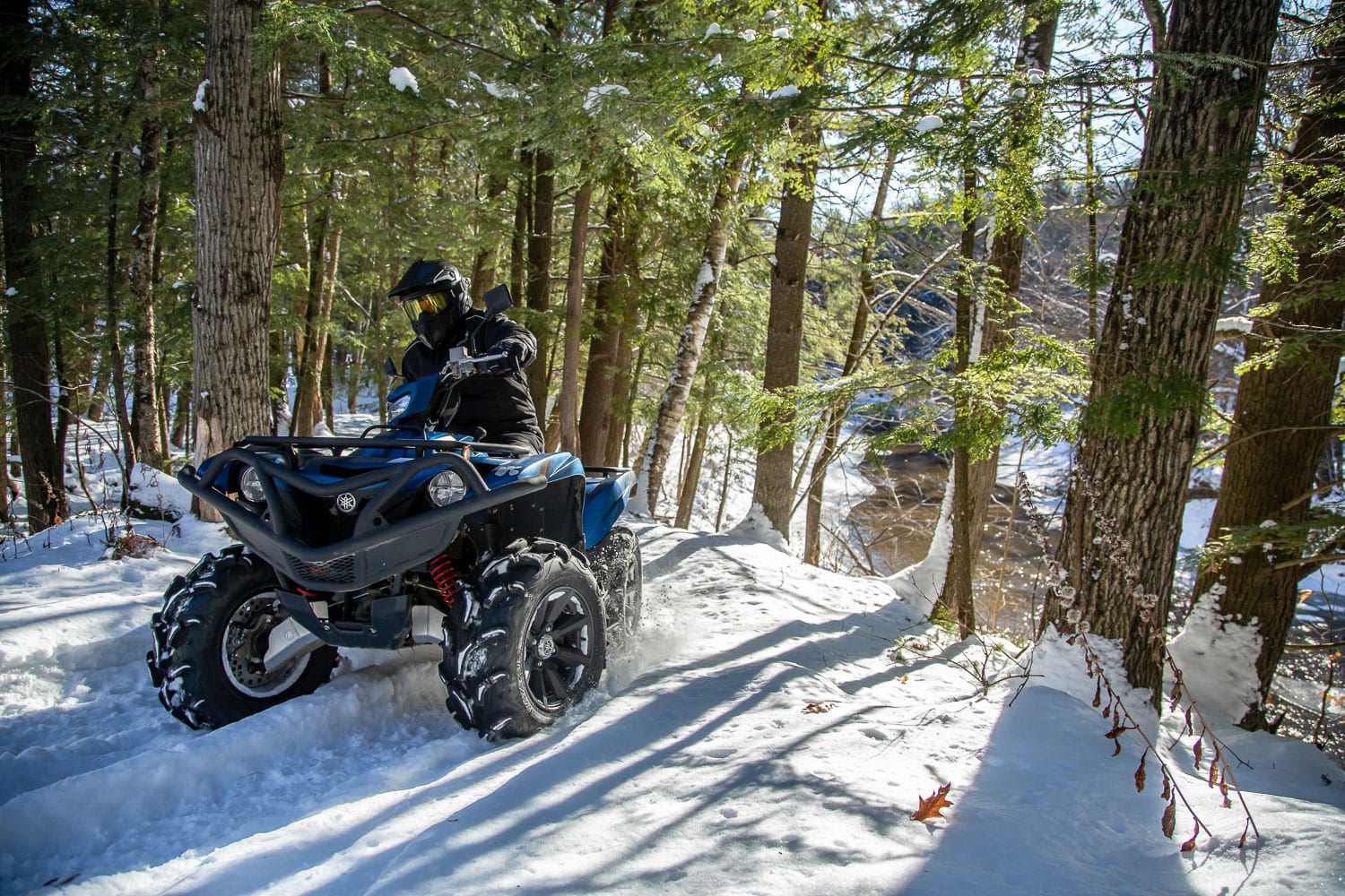 2019 Yamaha Grizzly SE Review