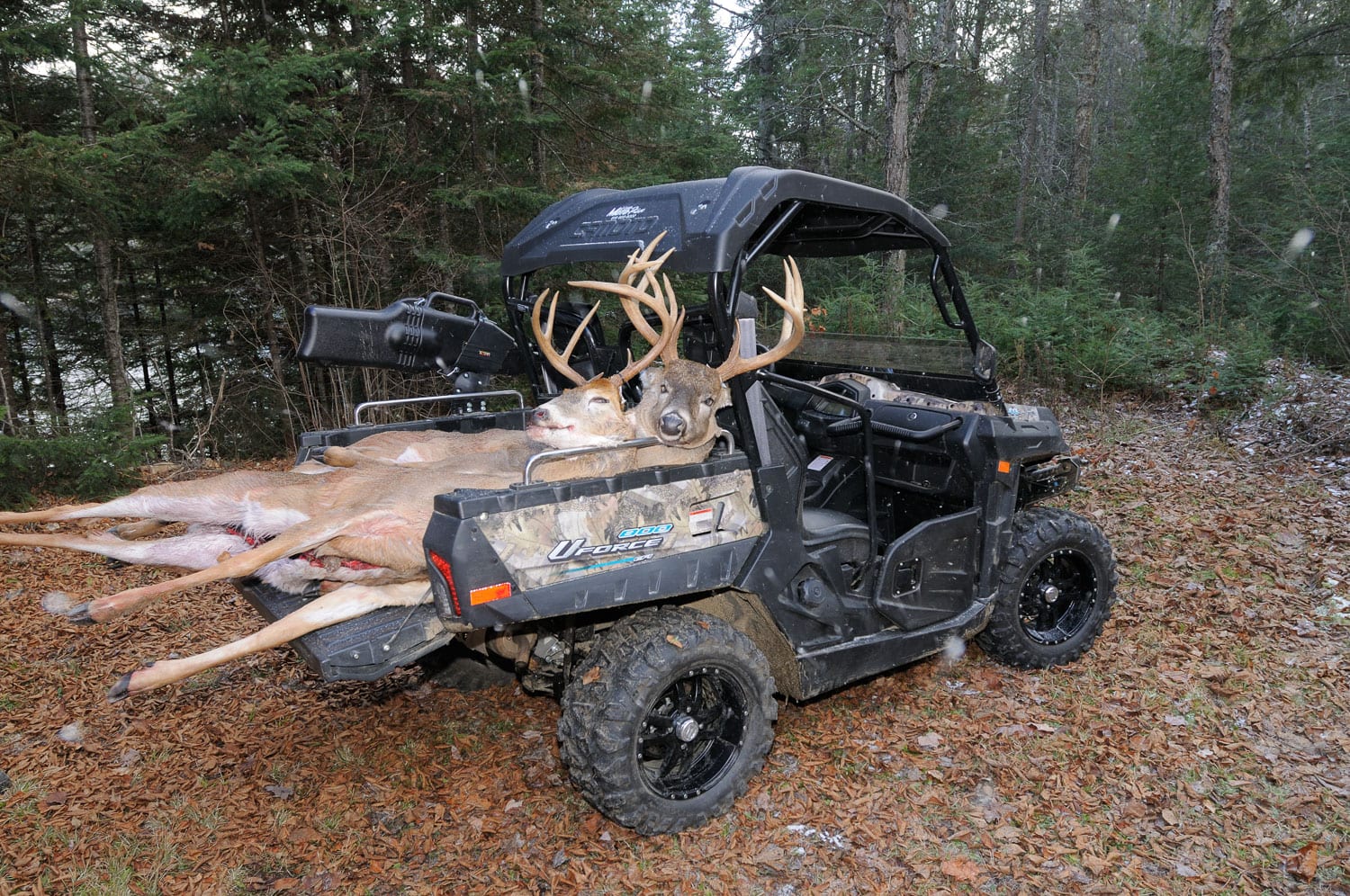 Some Tips To Make You a Better White-Tailed Deer Hunter