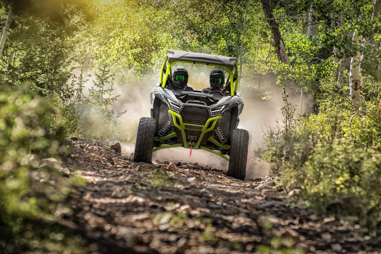 Teryx KRX® 1000 Special Edition