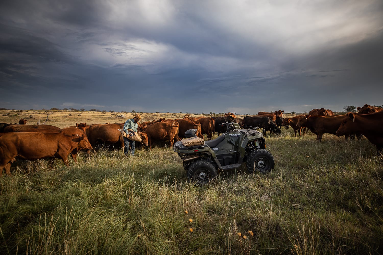 Polaris 2021 Off-Road Lineup