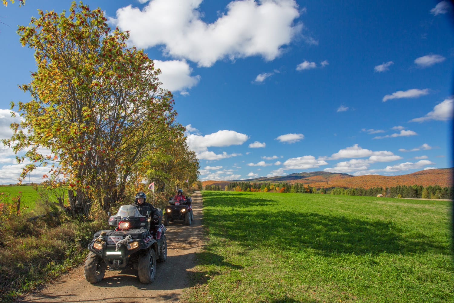 Plan a quad trip in Gaspésie, Québec