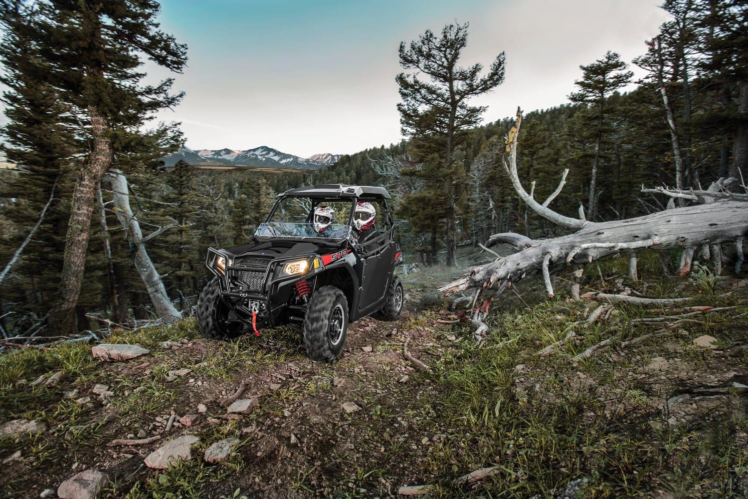 Unfairly overlooked entry-level quads