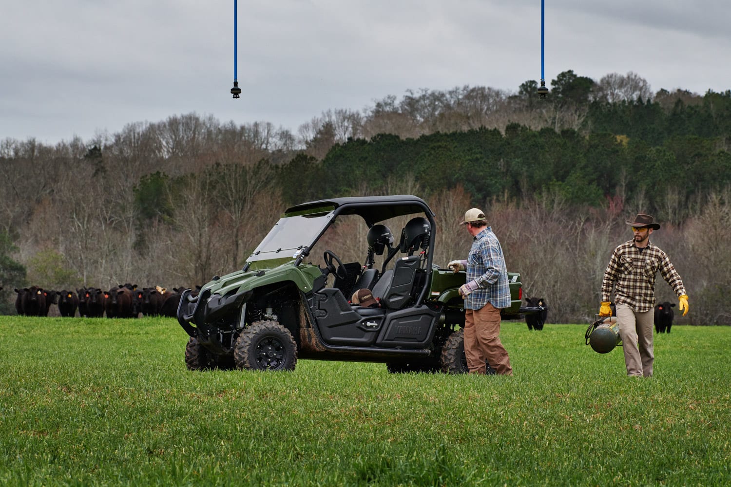 Unfairly overlooked entry-level quads