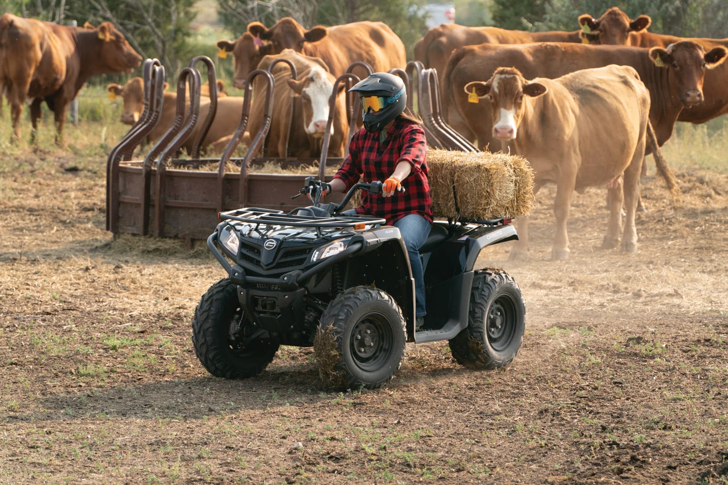 Unfairly overlooked entry-level quads