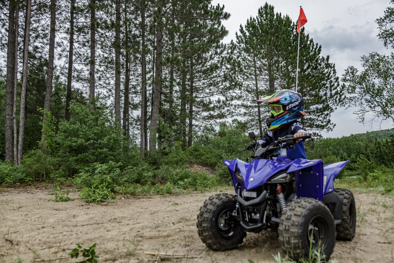 2021 Yamaha YFZ50 First Look