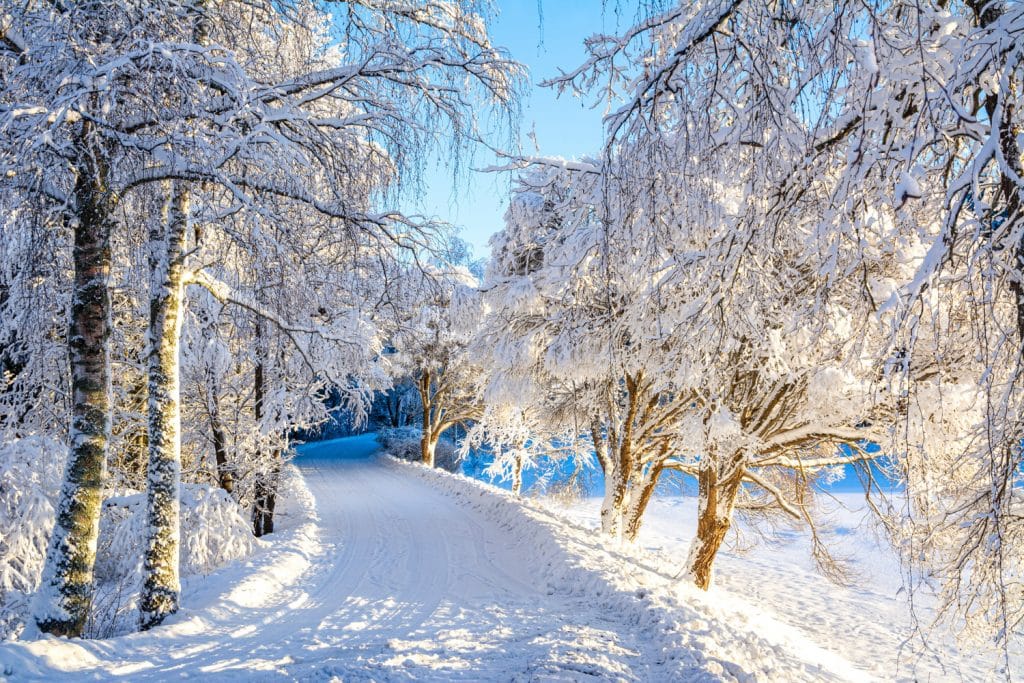 The eternal dilemma of winter trail grooming