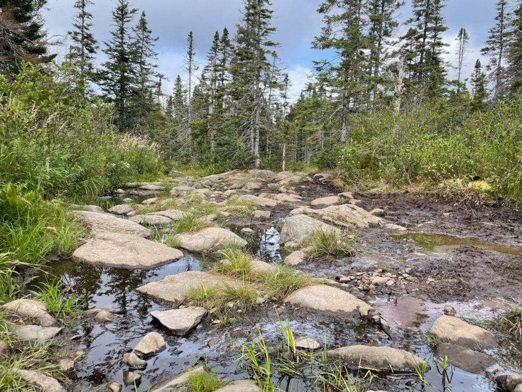 Cross-Newfoundland-by-ATV