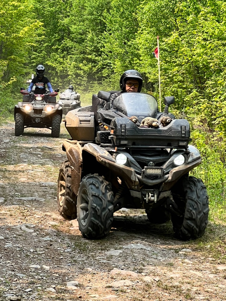 2008 Yamaha Raptor 250 Review - ATV Trail Rider Magazine