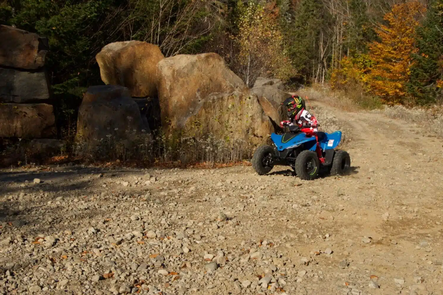Young riders quickly feel in control.