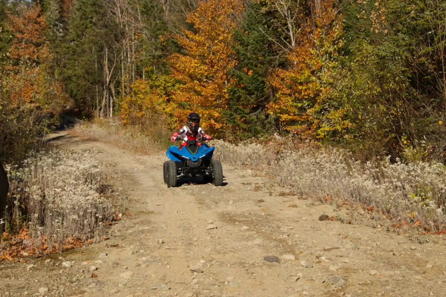 Photo 9 – grande taille