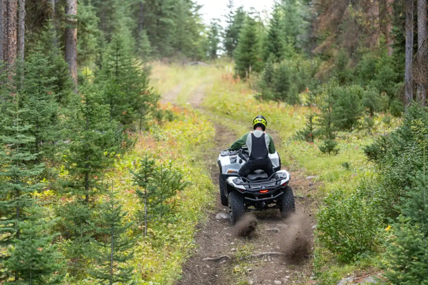 Photo 9.1 – grande taille