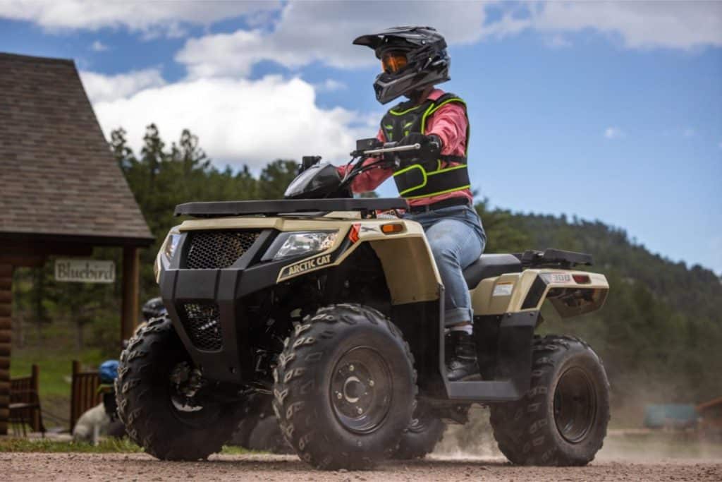 2025 arctic cat alterra 300