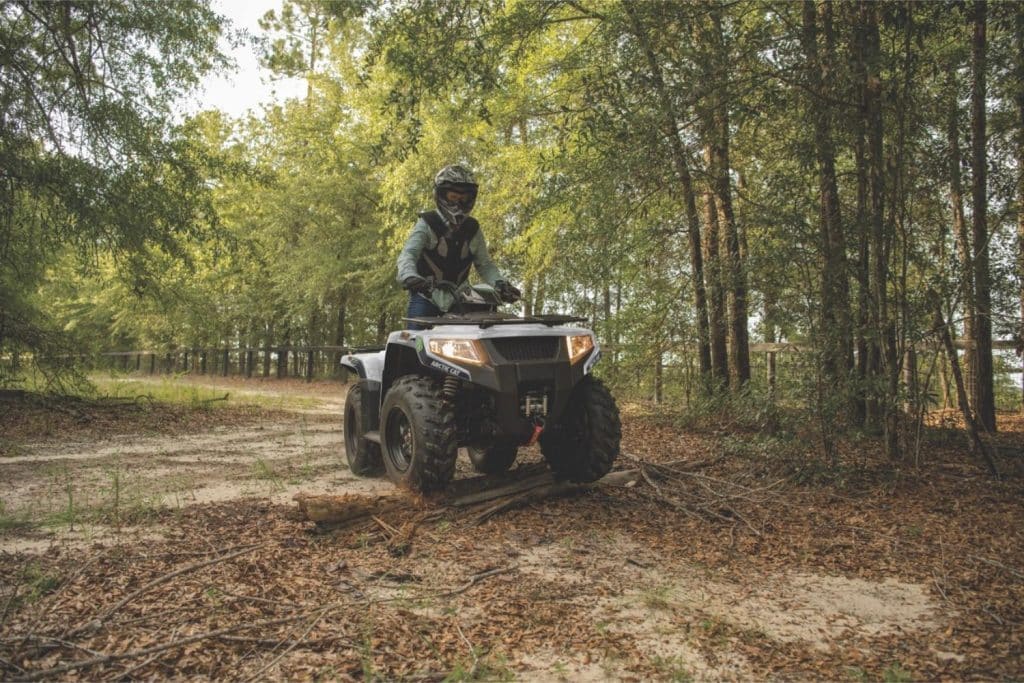 2025 arctic cat alterra 450
